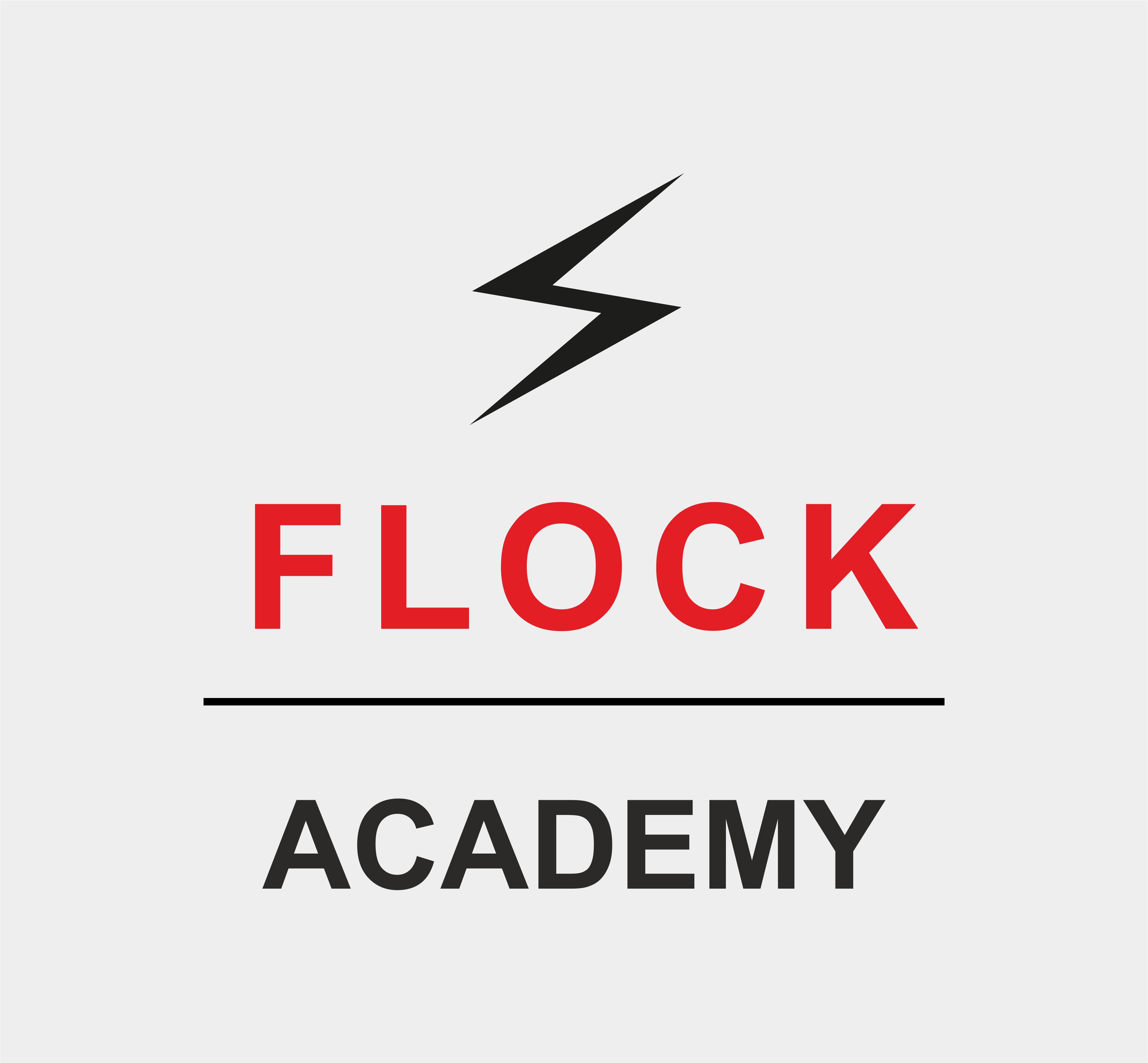 Auf diesem Bild ist das Logo der FLOCK-Academy zu sehen.